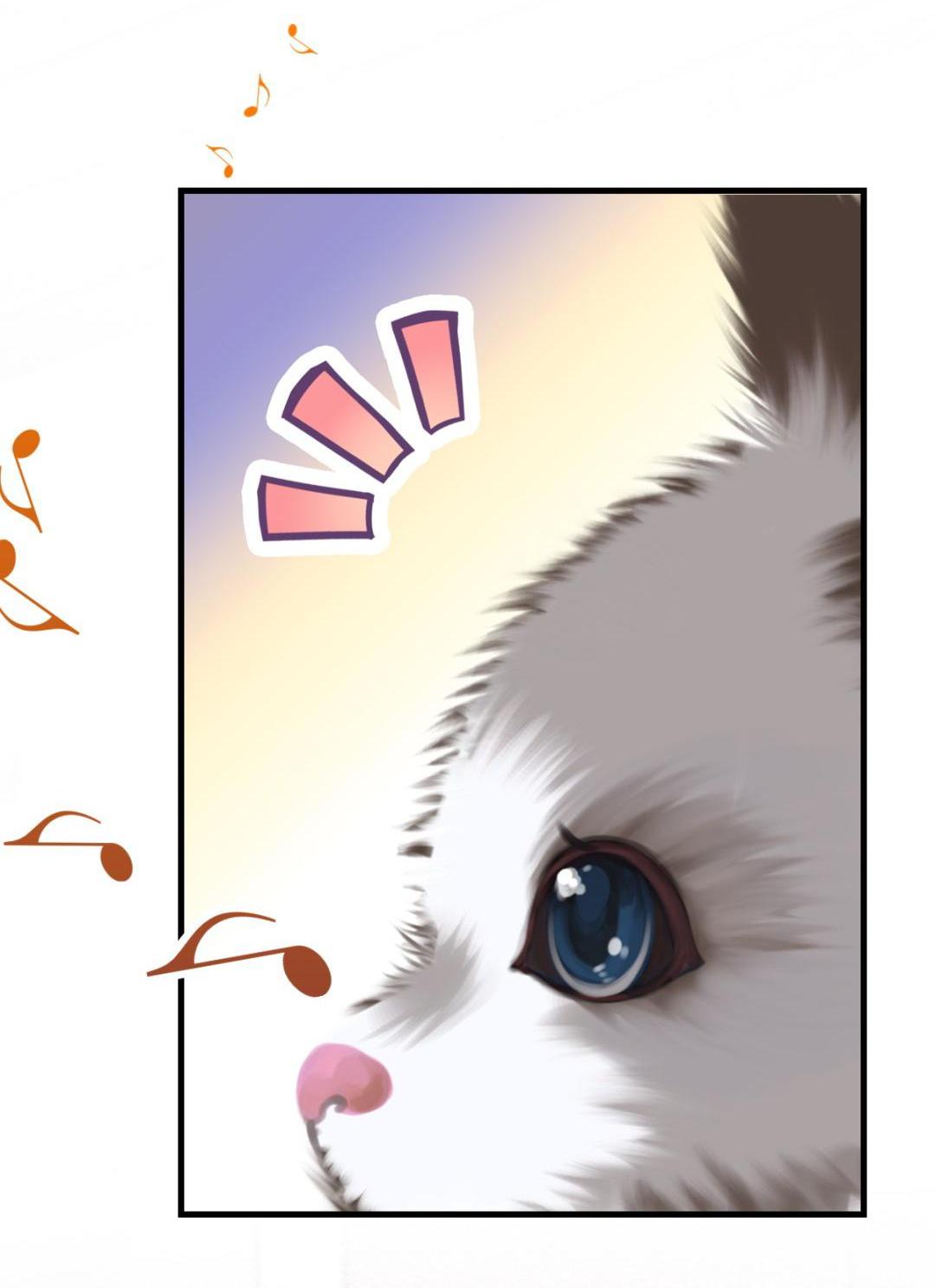With Cats Only Kicked Out With The Cat 第6页