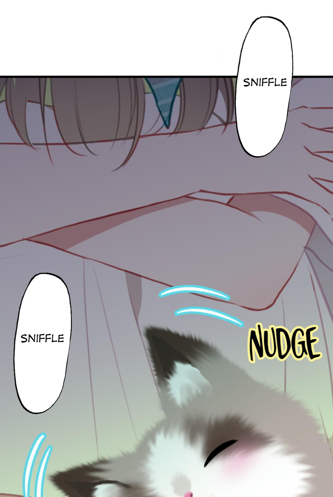 With Cats Only Kicked Out With The Cat 第66页
