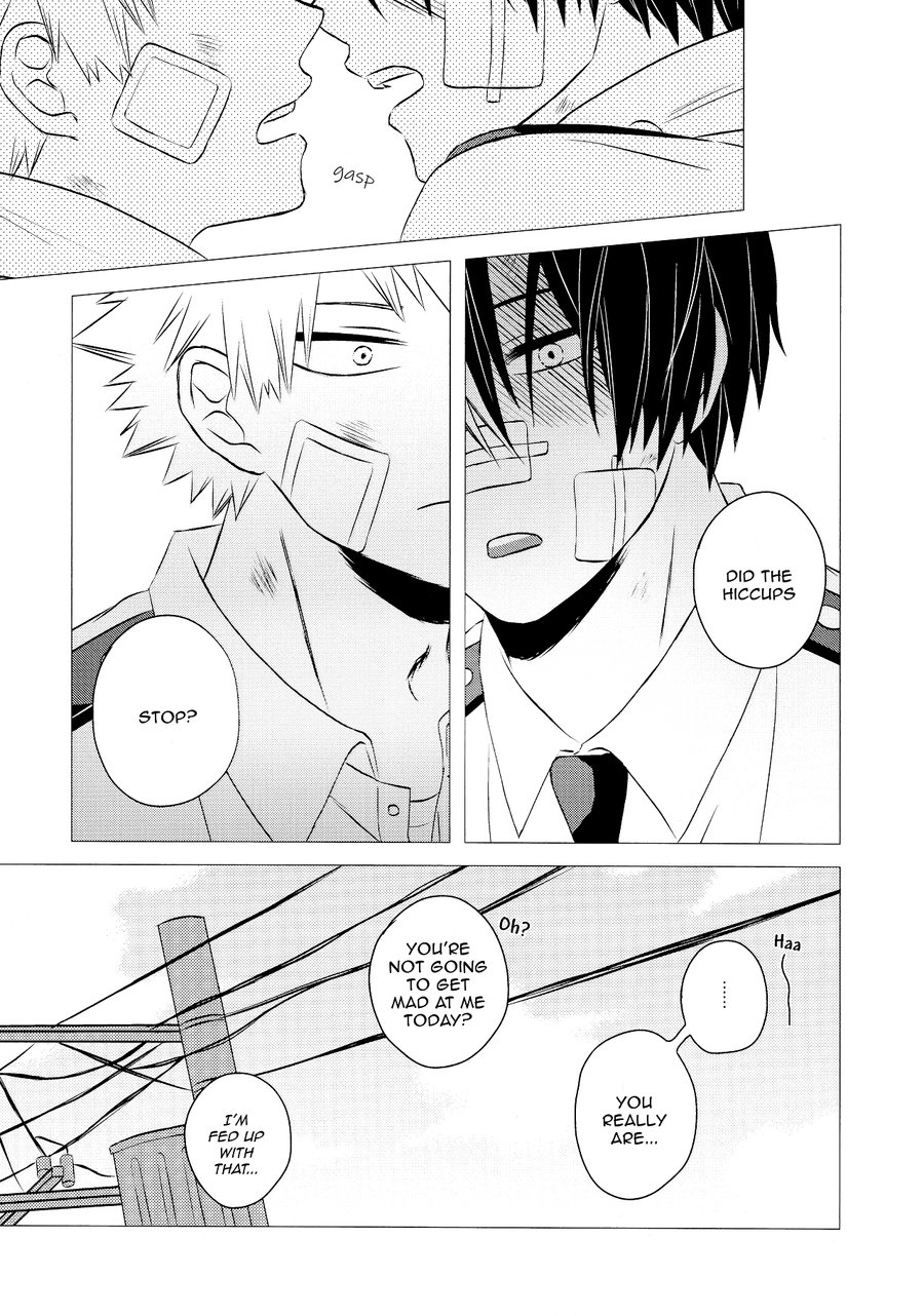 My Hero Academia - Prismic  (Doujinshi) Oneshot 第12页