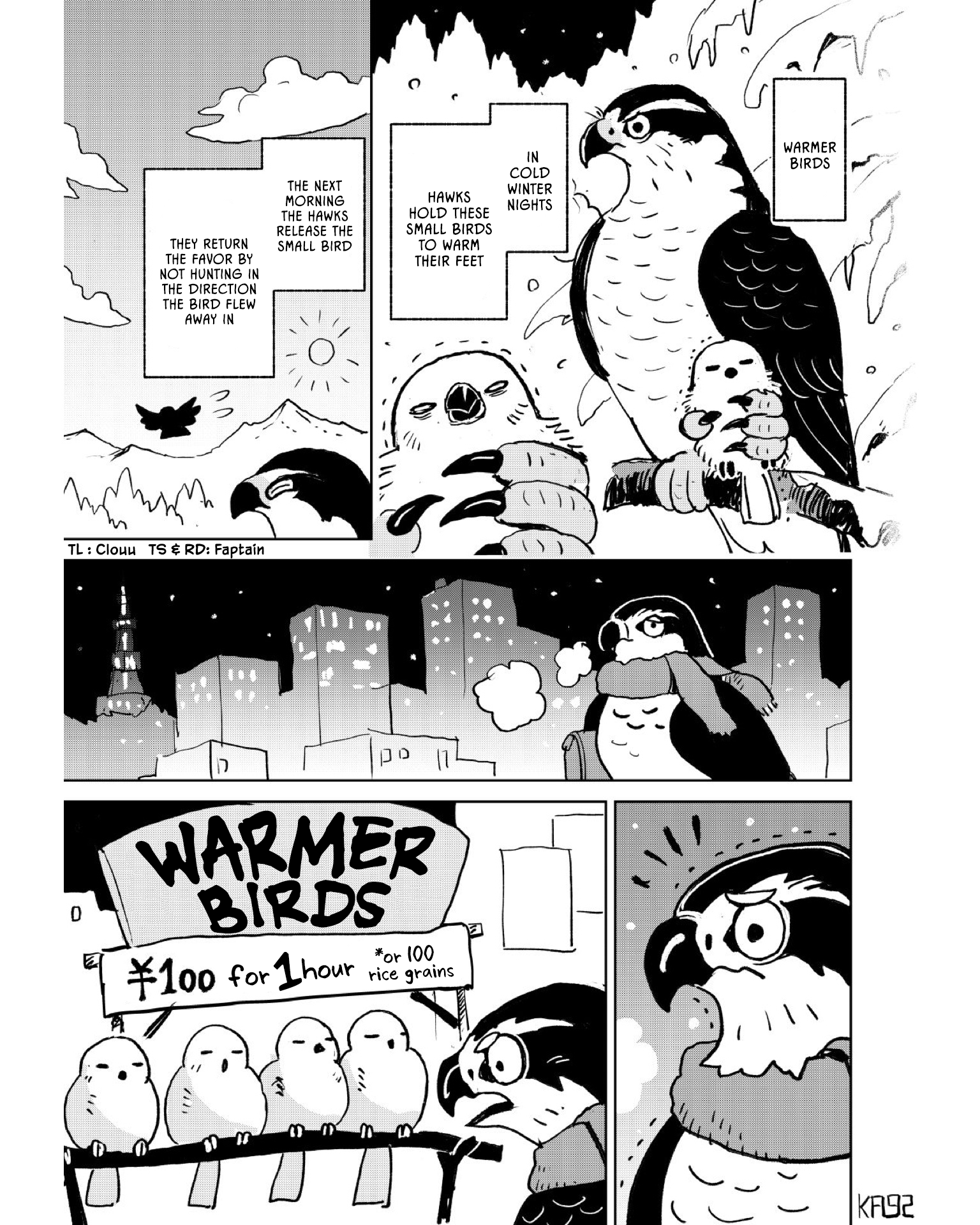 Warmer Birds 第1页