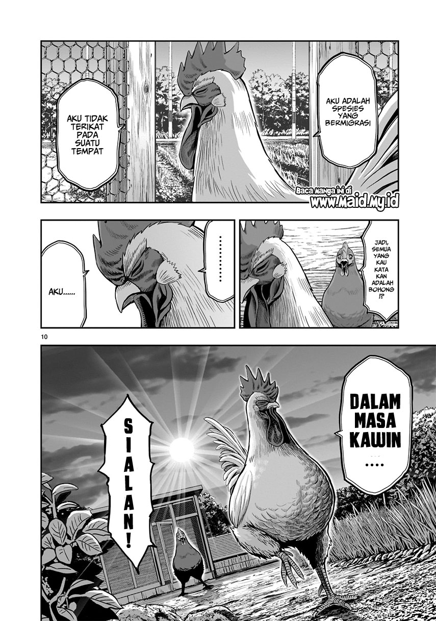 Niwatori Fighter Vol. 1 Ch. 1 第13页