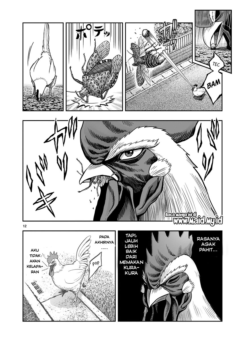 Niwatori Fighter Vol. 1 Ch. 1 第15页