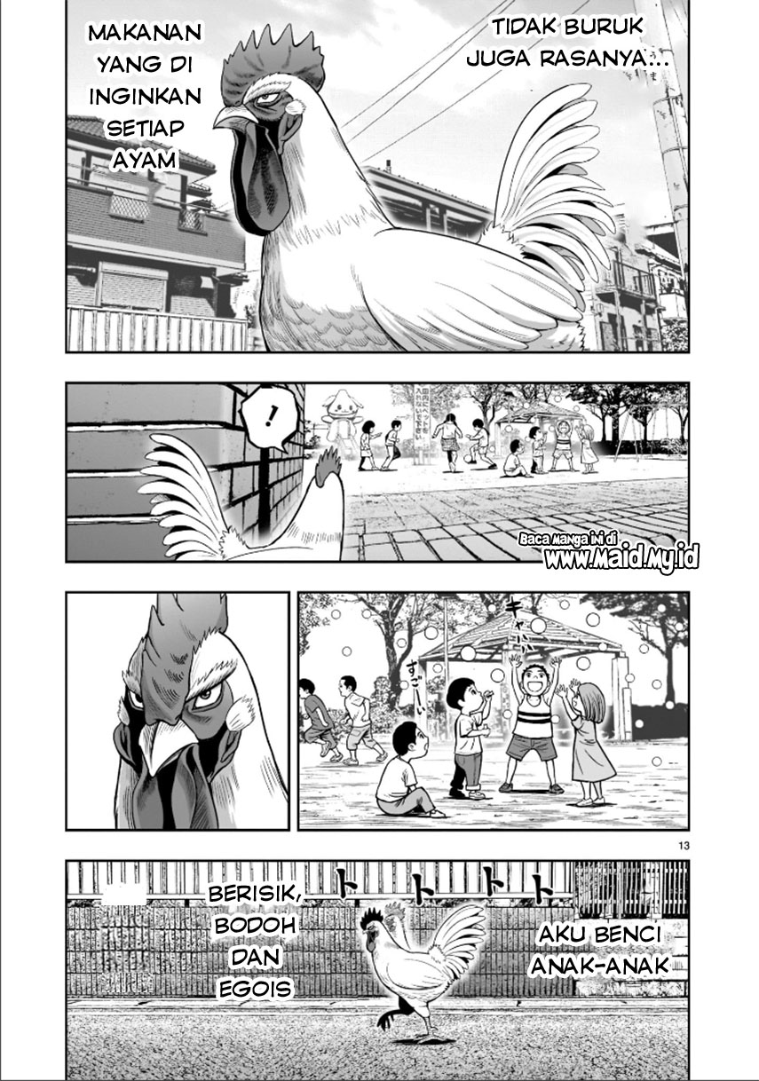 Niwatori Fighter Vol. 1 Ch. 1 第16页