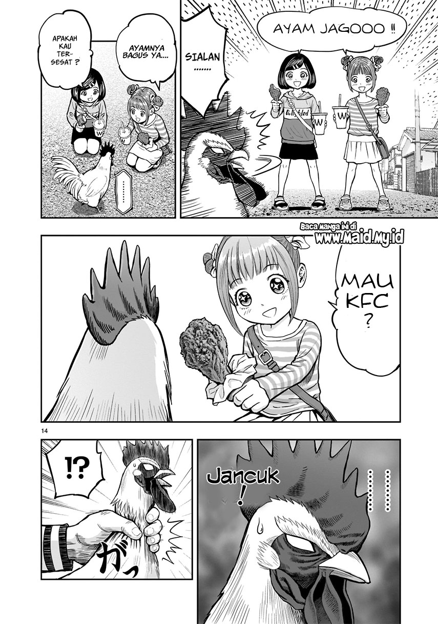 Niwatori Fighter Vol. 1 Ch. 1 第17页
