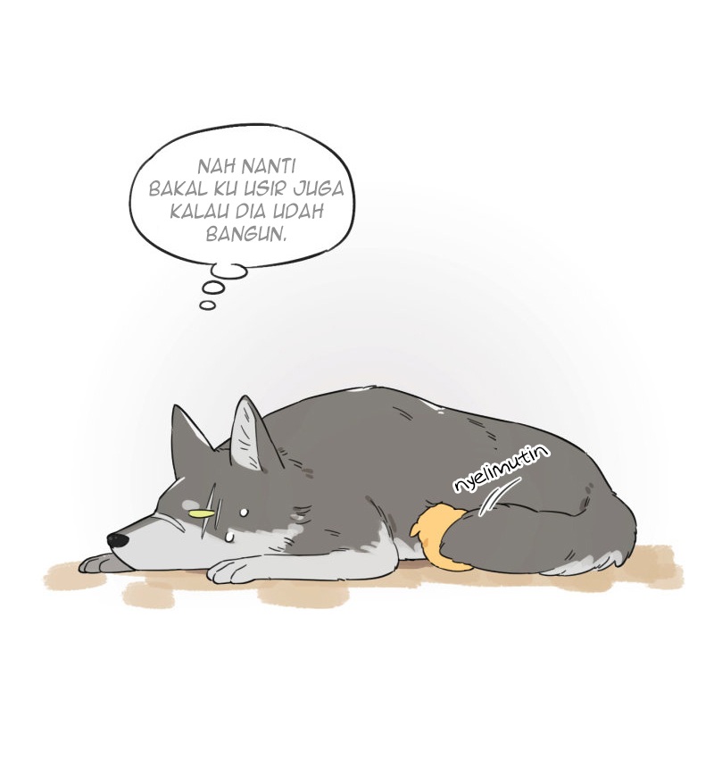 The Wolf That Picked Something Up 第8页