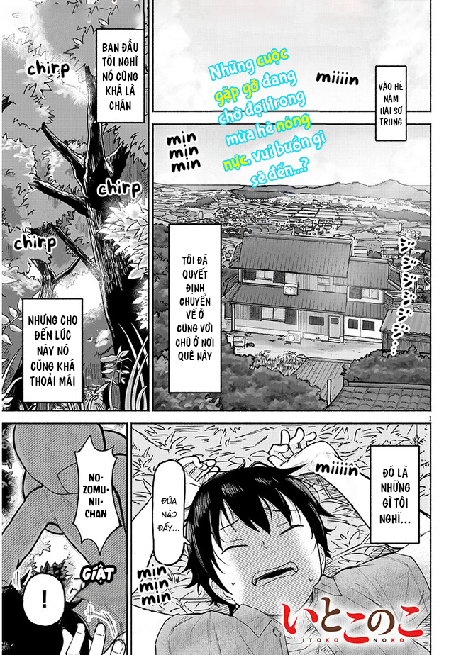 Itoko no Ko Anh thích em đúng không? <:3 第1页