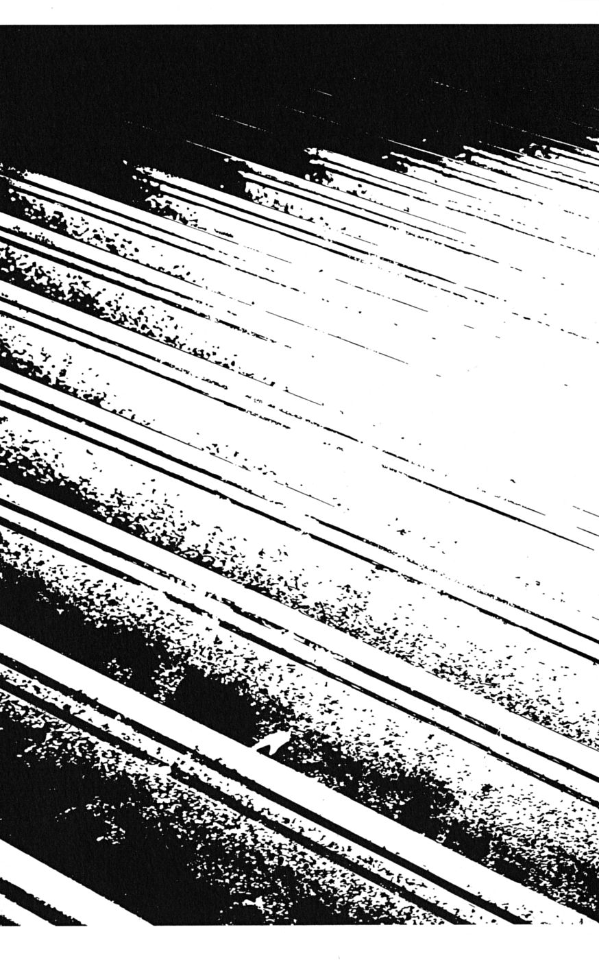 Shiki Vol. 1 Ch. 2 第28页