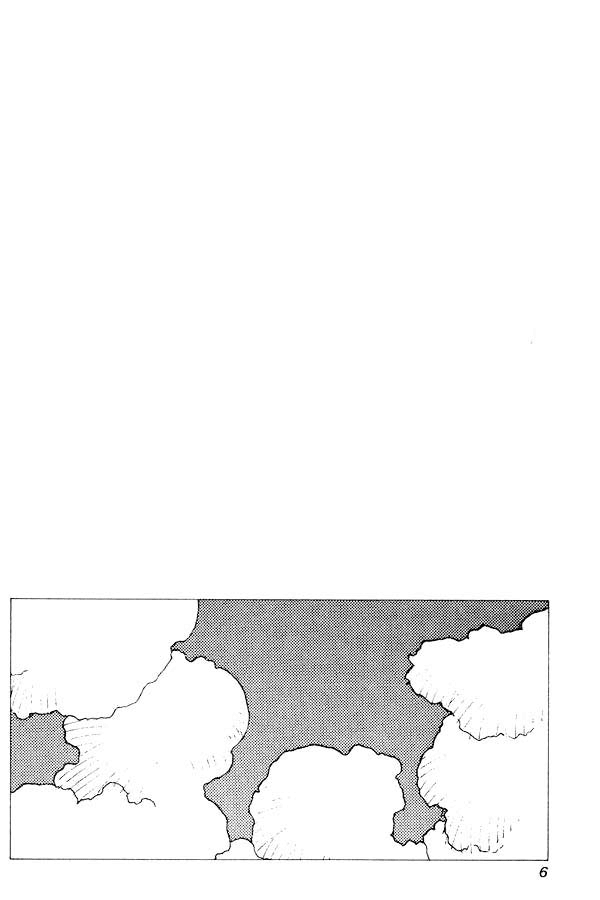 Kirara Duas Kiraras 第7页