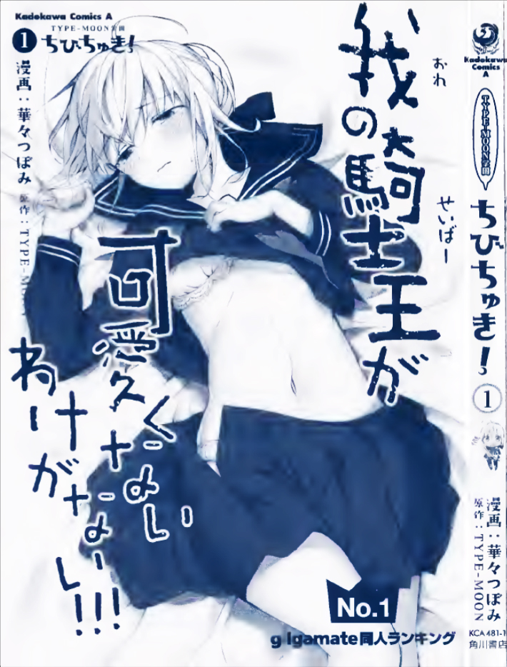Type-Moon Gakuen - Chibi Chuki! 第3页