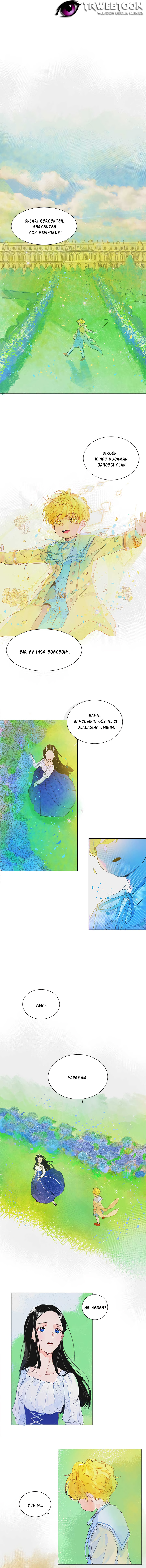 Alissa and the Magic Diary (Promo) Oneshot 第14页