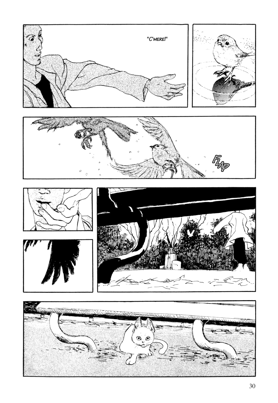 Hanashippanashi That Bird... 第6页