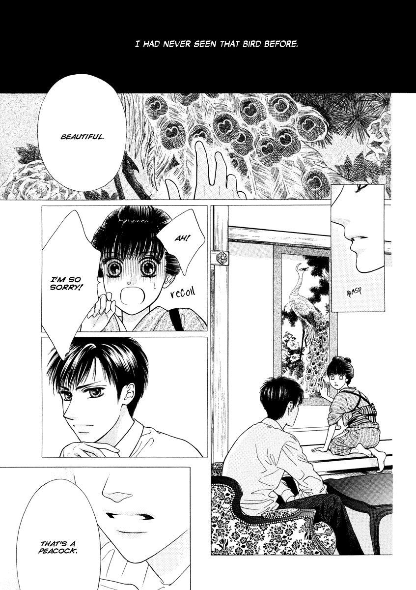 Shisei 第6页
