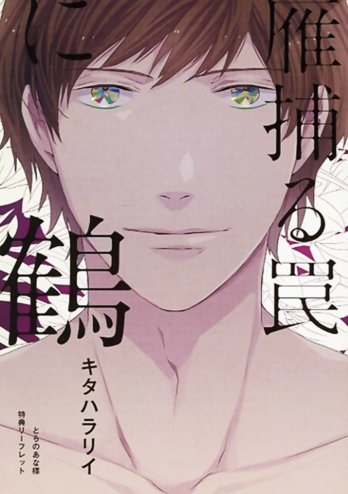 Hakidame to Tsuru Vol. 1 Ch. 2 第3页