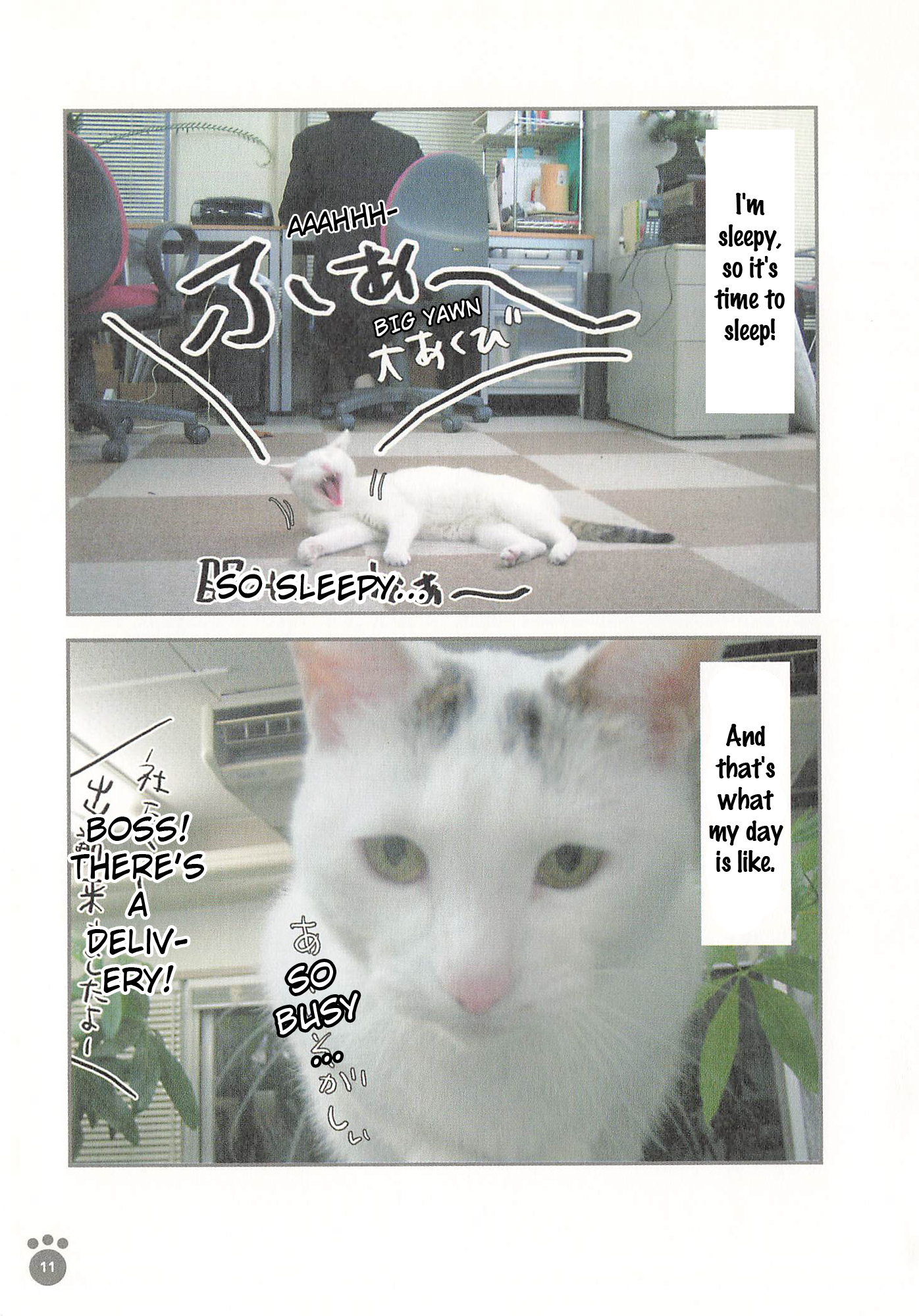 Sukeban Shachou Rena Nice to meet you. 第10页