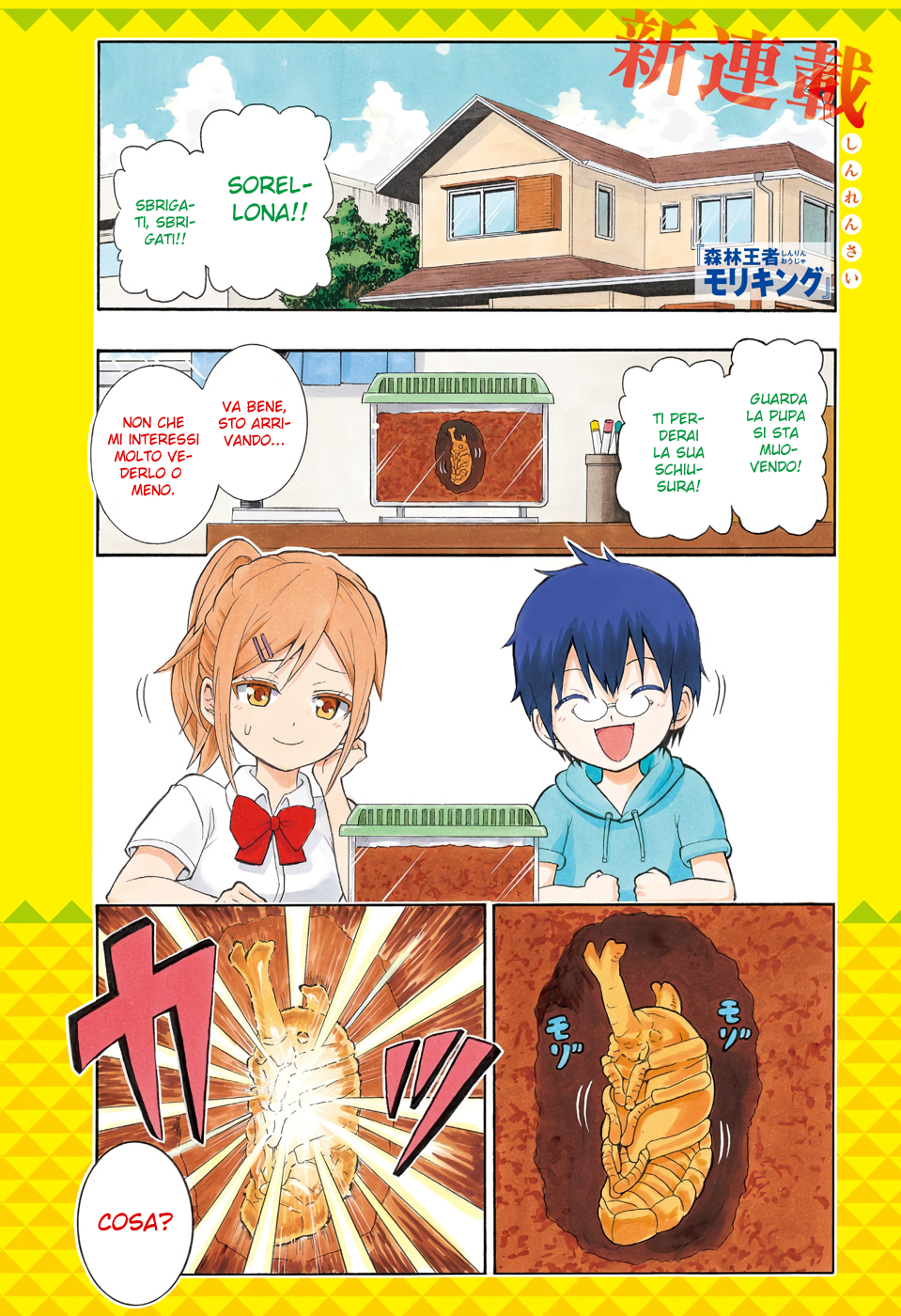 Shinrin Ousha Mori King 第3页