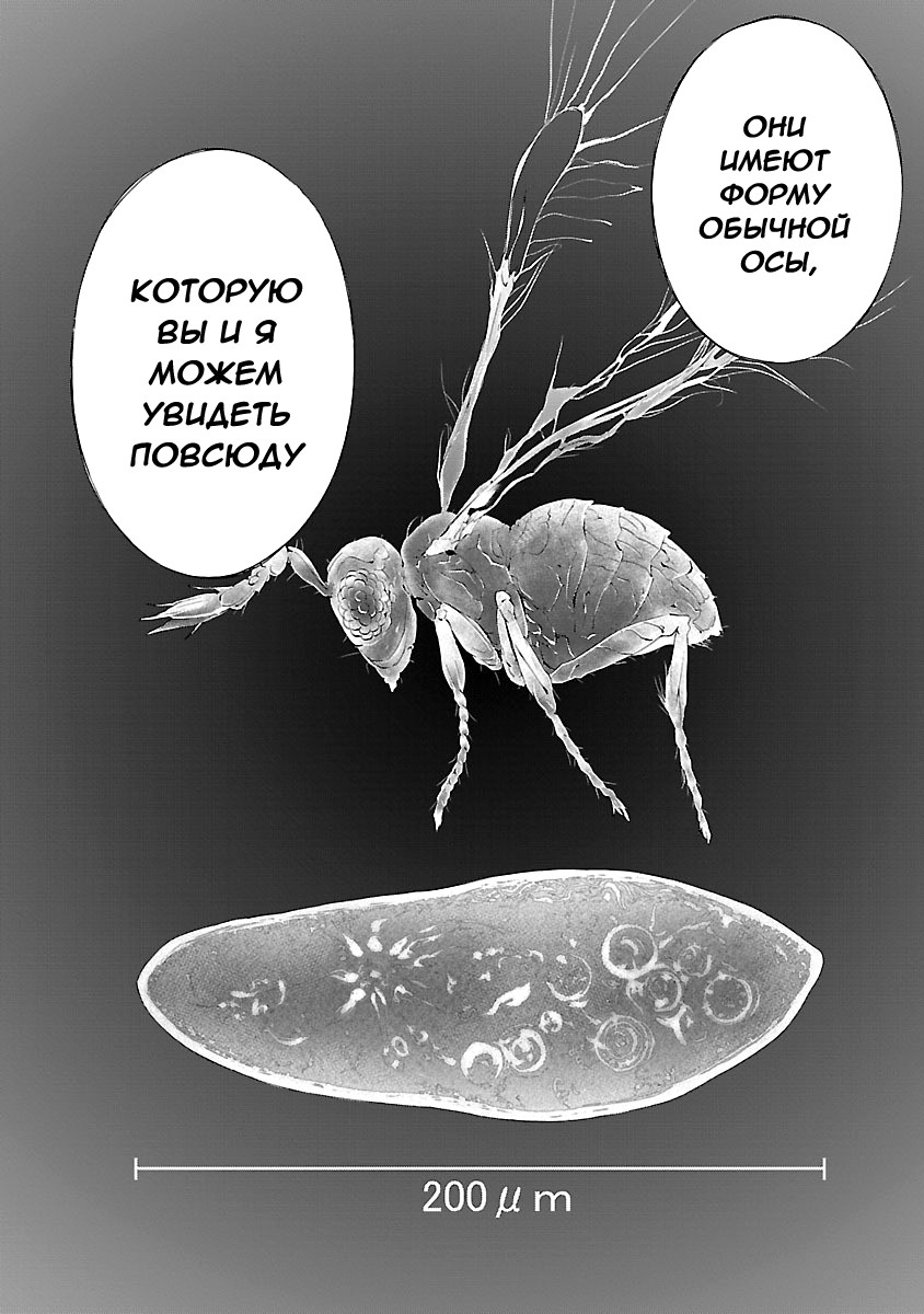 Himenospia Копьё 第4页