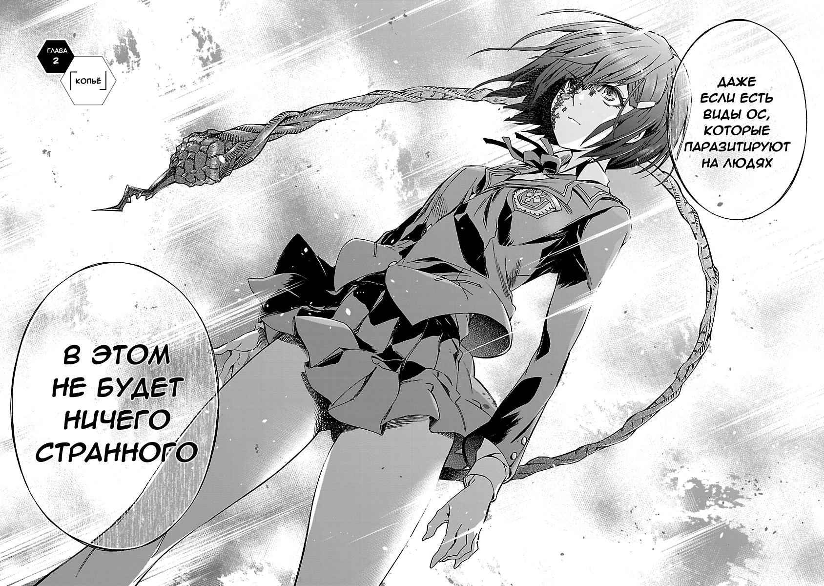 Himenospia Копьё 第6页