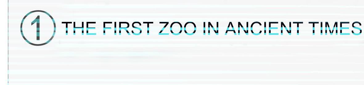 Me and My Zoo Mission for the Noob 第28页