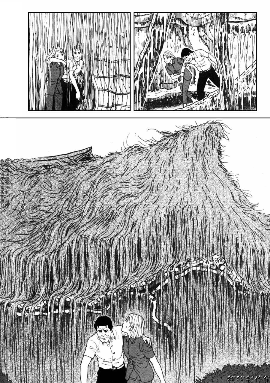 The Shard of Evil Maison hantée en bois 第28页