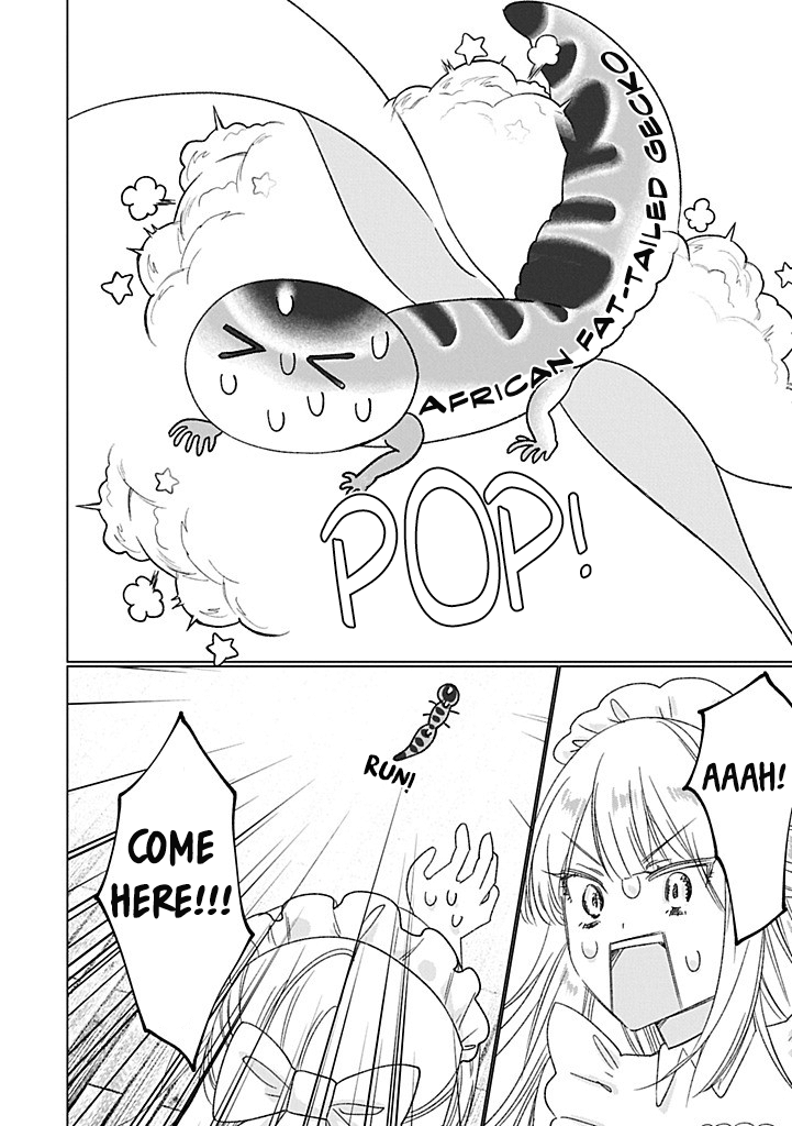 Hachuurui wa Homeraretai! Oneshot 第16页