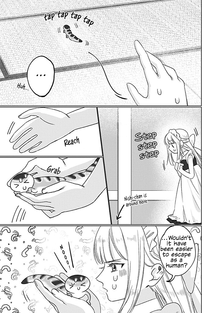 Hachuurui wa Homeraretai! Oneshot 第17页