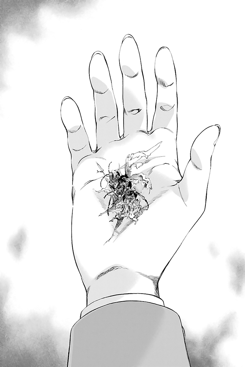 Himenospia Pungiglione 第15页
