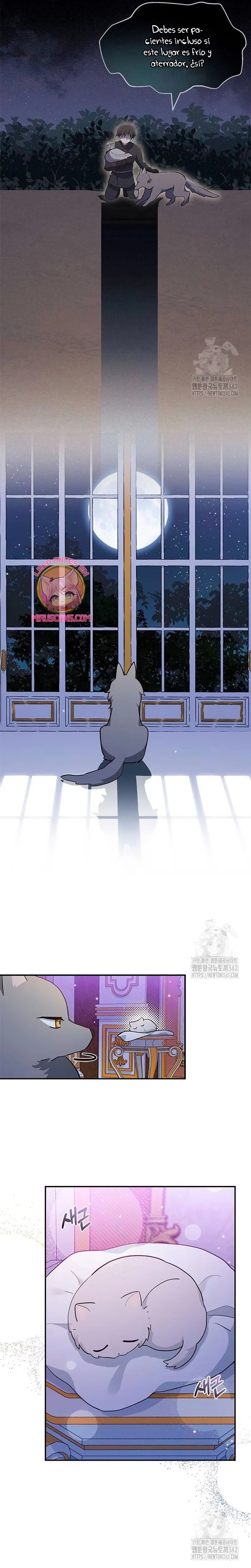 A Cat, Adopted by a Wolf Family? Ch. 5 第18页