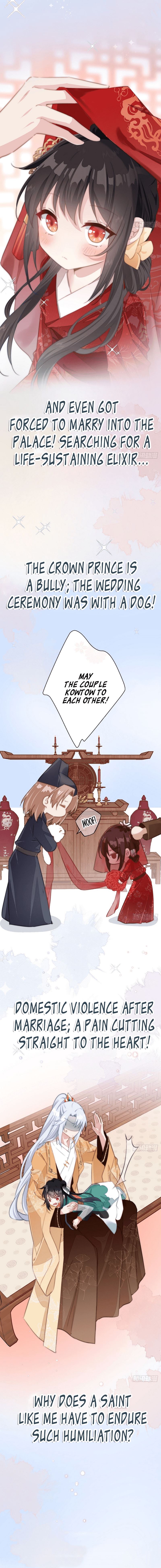 Adorable Spoiled Little Princess 第2页