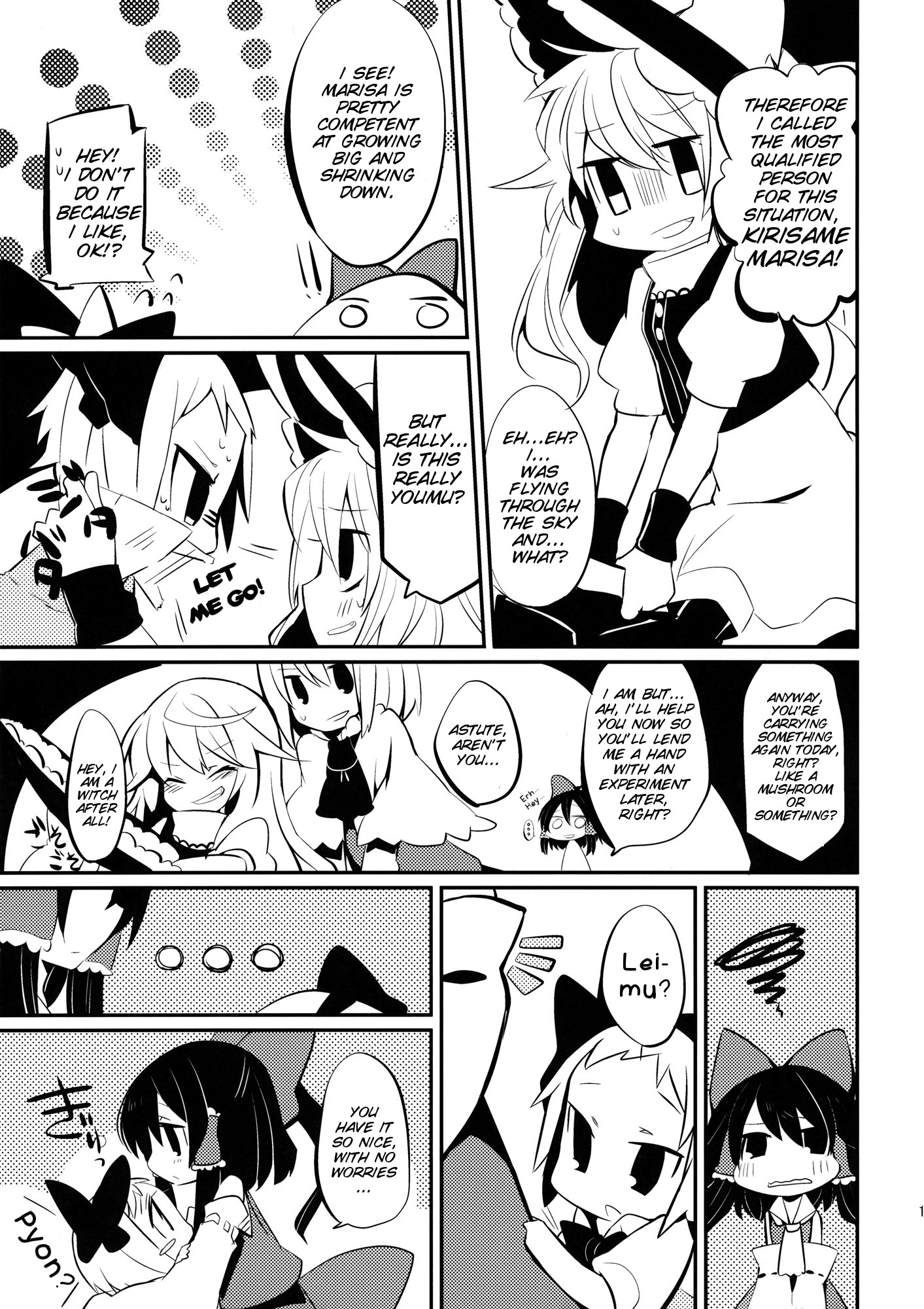 Touhou - Hen'you (Doujinshi) Oneshot 第15页
