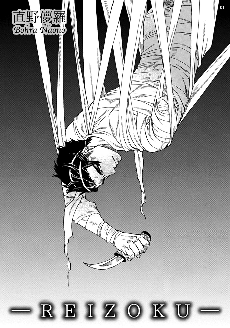 Reizoku 第4页