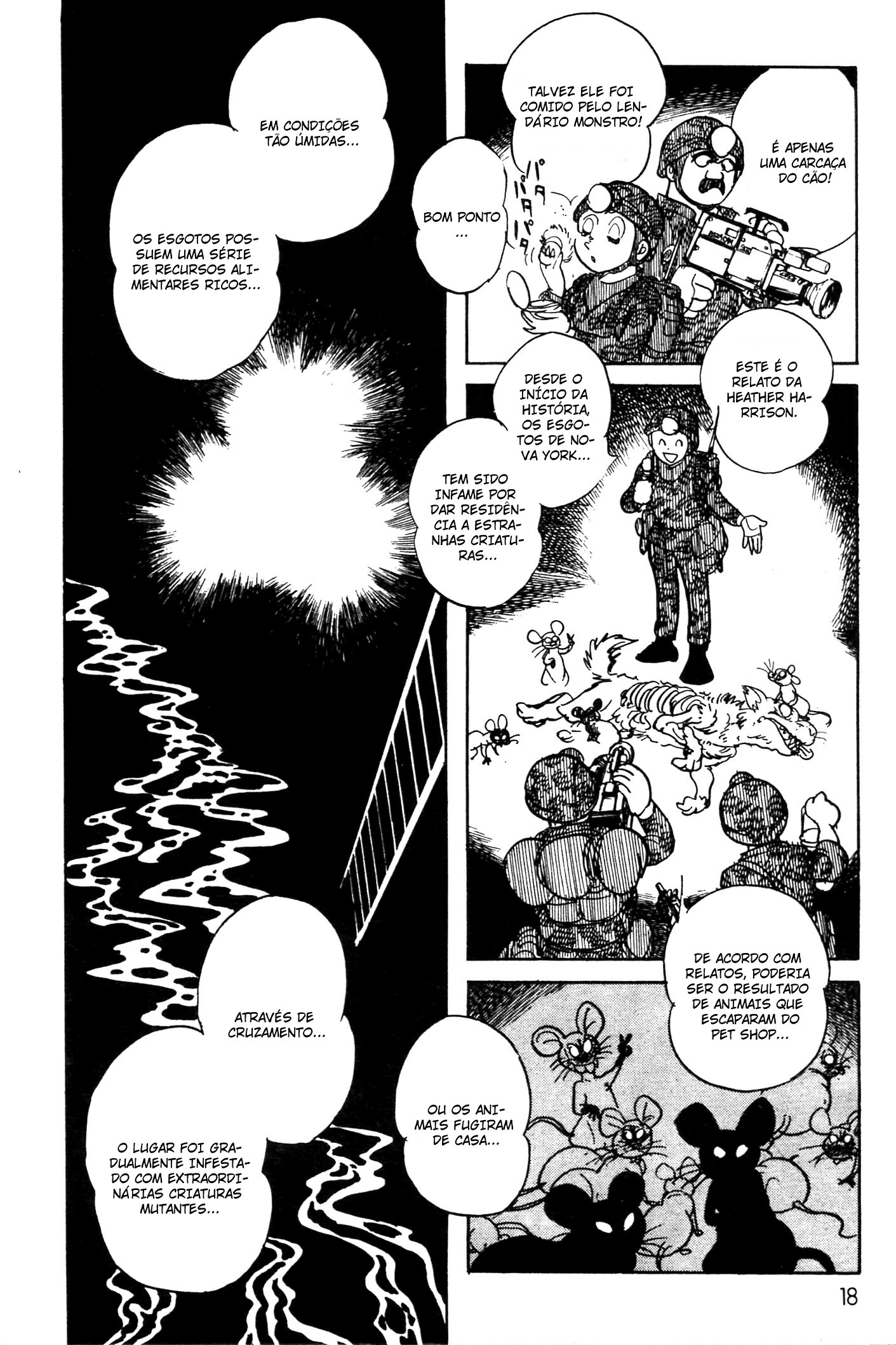 Kamen Rider Black Nova York: Esgotos 第17页