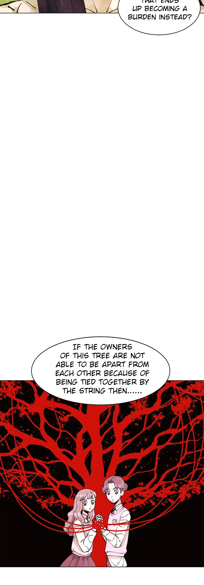 The Villainess's Debut Novel The Missing Book 第12页