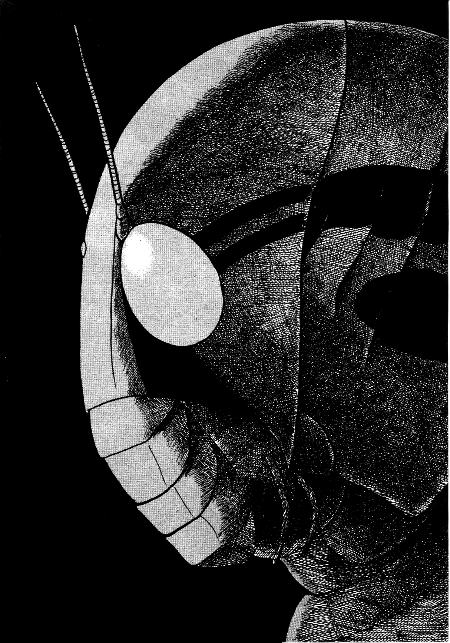 Kamen Rider Black New York Sewers 第38页