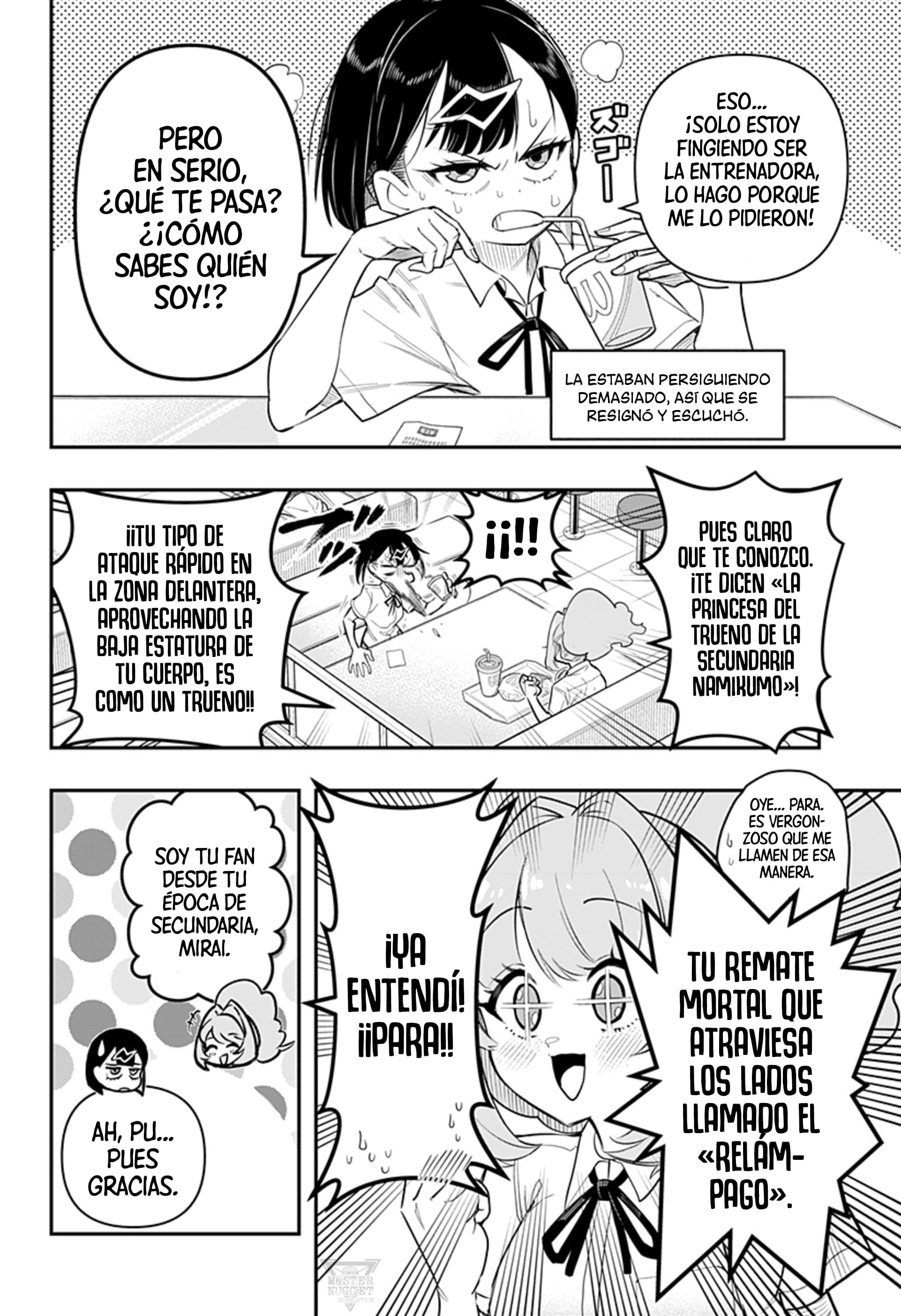 Shunrai Table Tennis Primavera y trueno 第13页