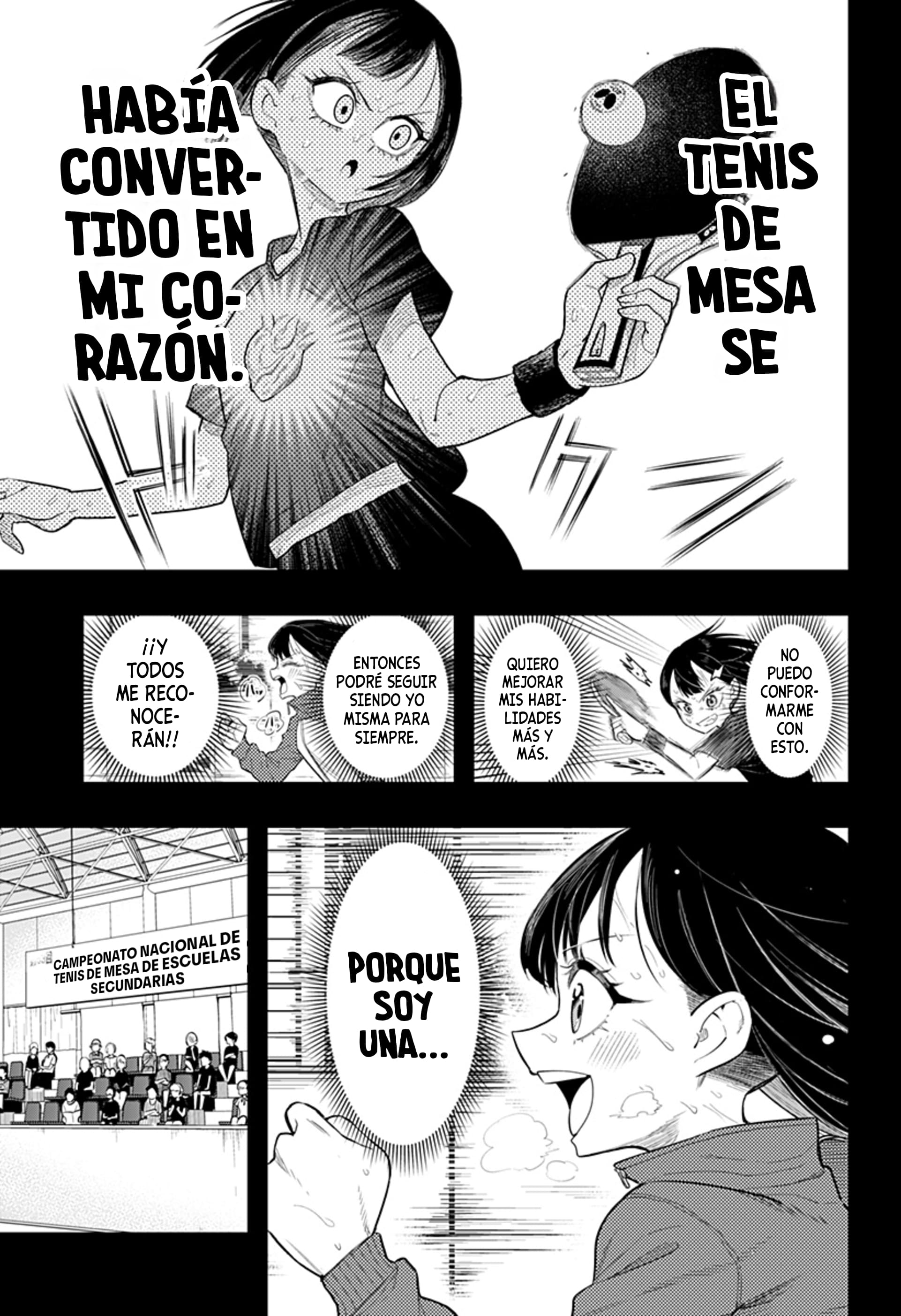 Shunrai Table Tennis Primavera y trueno 第20页