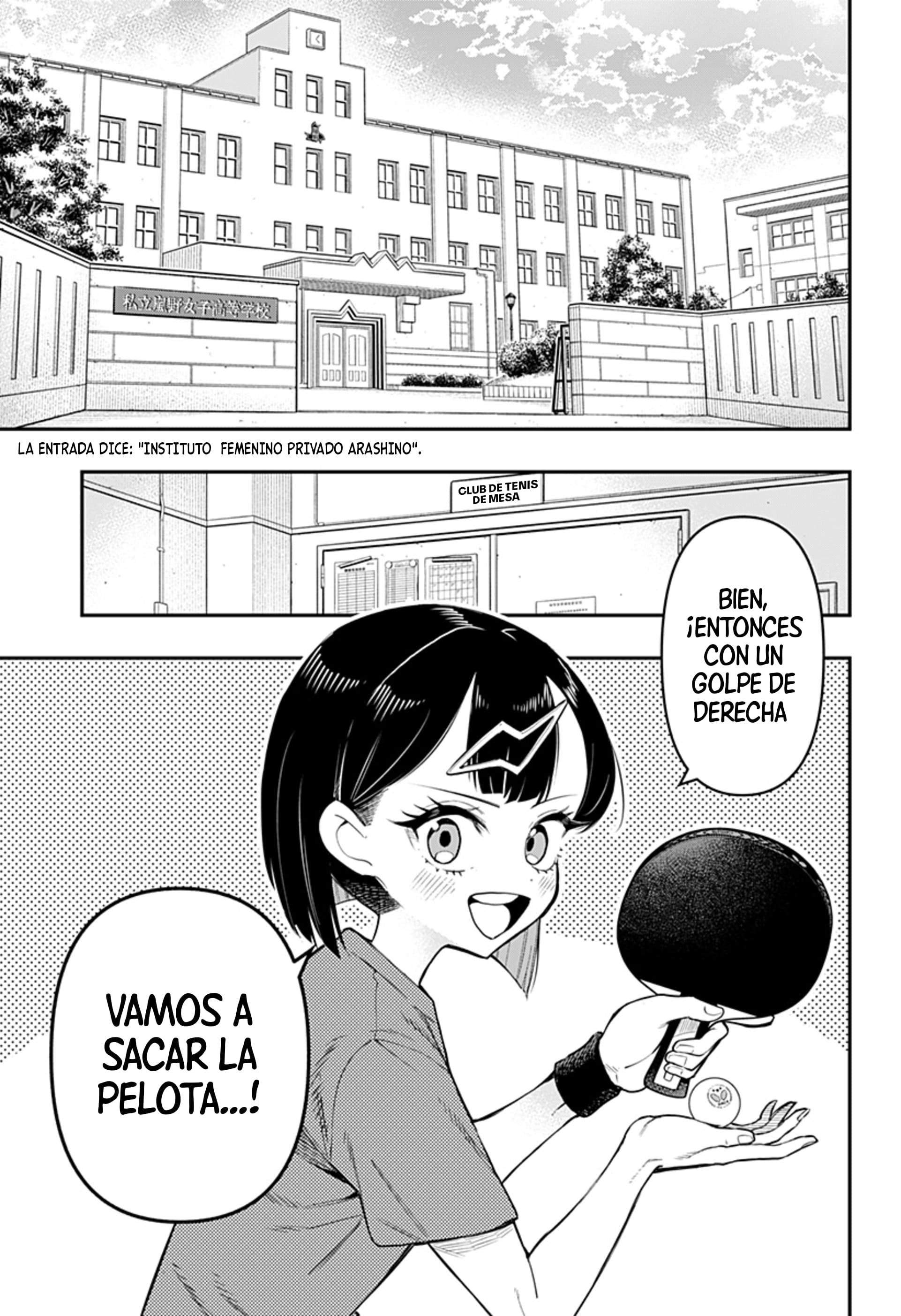 Shunrai Table Tennis 第4页