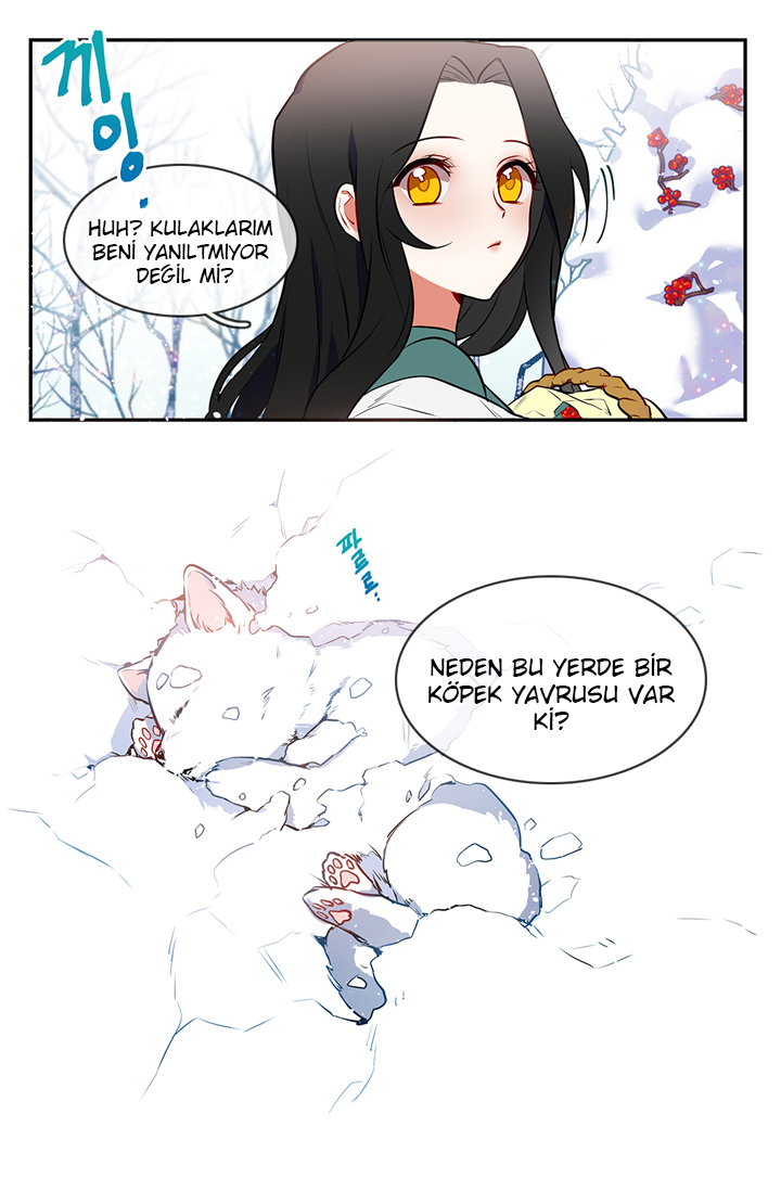 When My Pet Became the Villain Promo 第11页