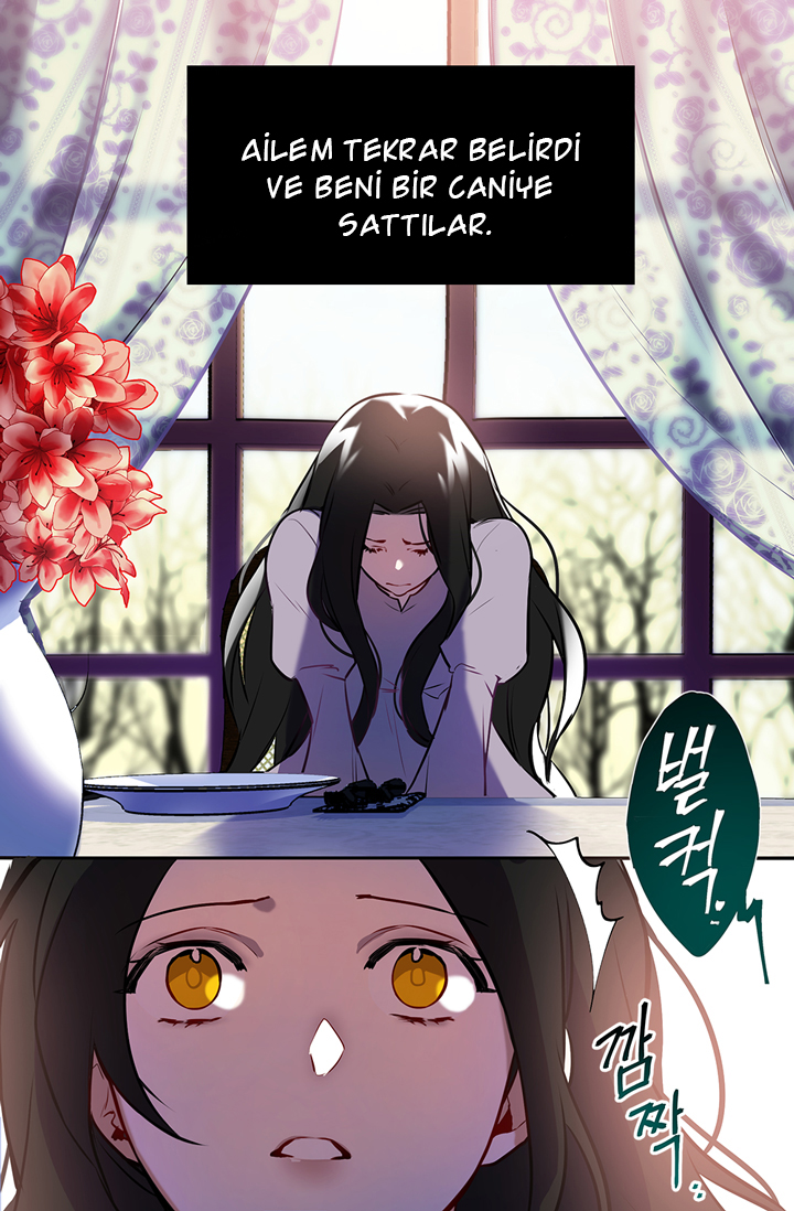 When My Pet Became the Villain Promo 第14页