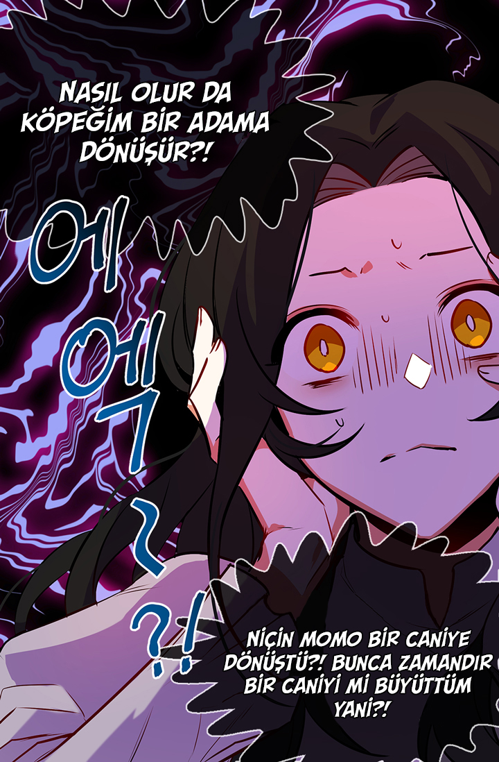 When My Pet Became the Villain Promo 第16页
