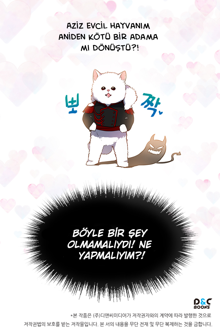 When My Pet Became the Villain Promo 第17页