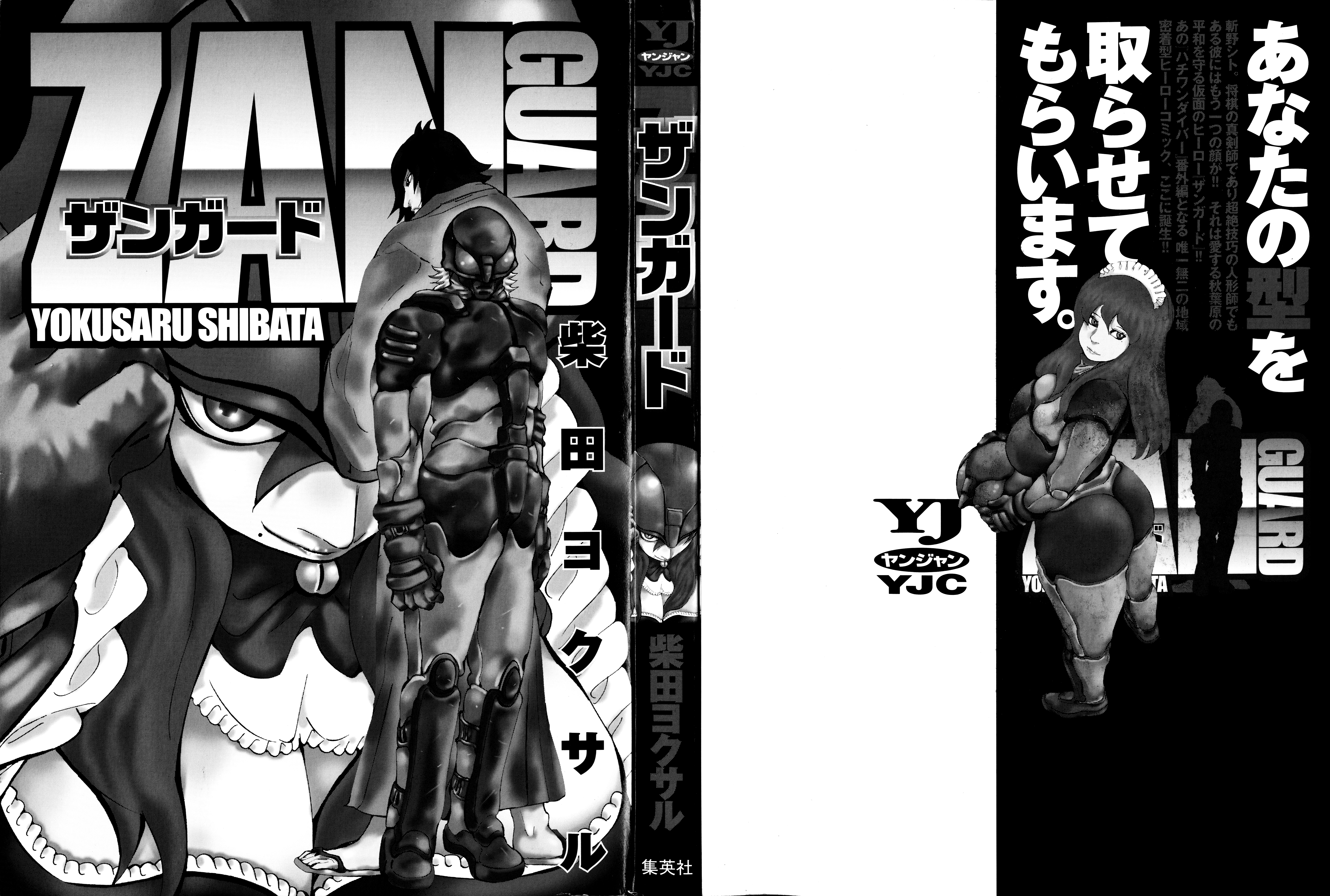 Zanguard 第3页