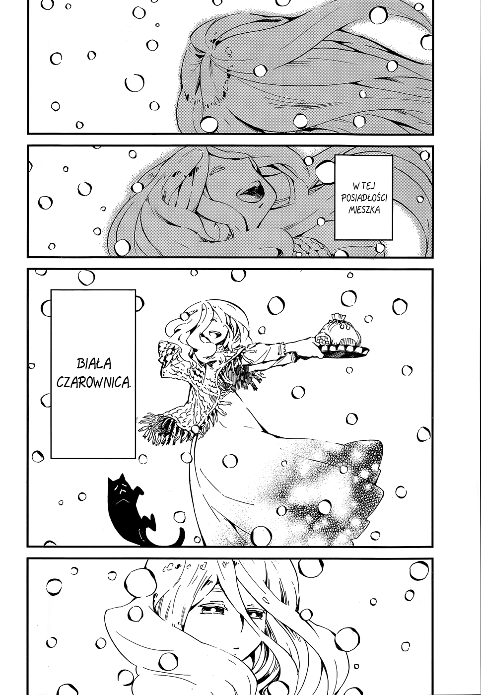 The White Witch and the Snow-Viewing Tea Party Oneshot 第3页