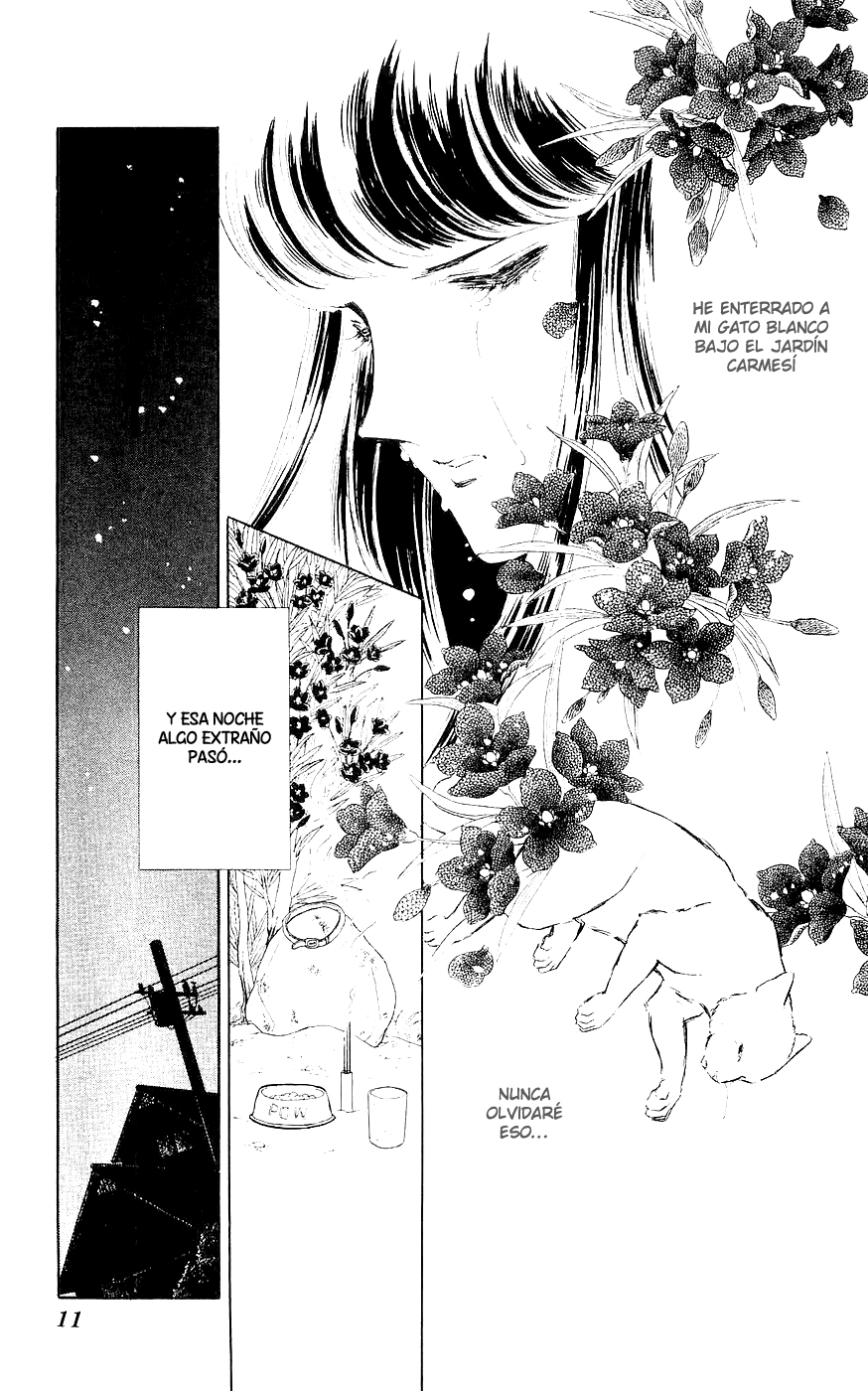 A Record of Ryoko's Psychic Events Vol. 1 Ch. 1 第12页