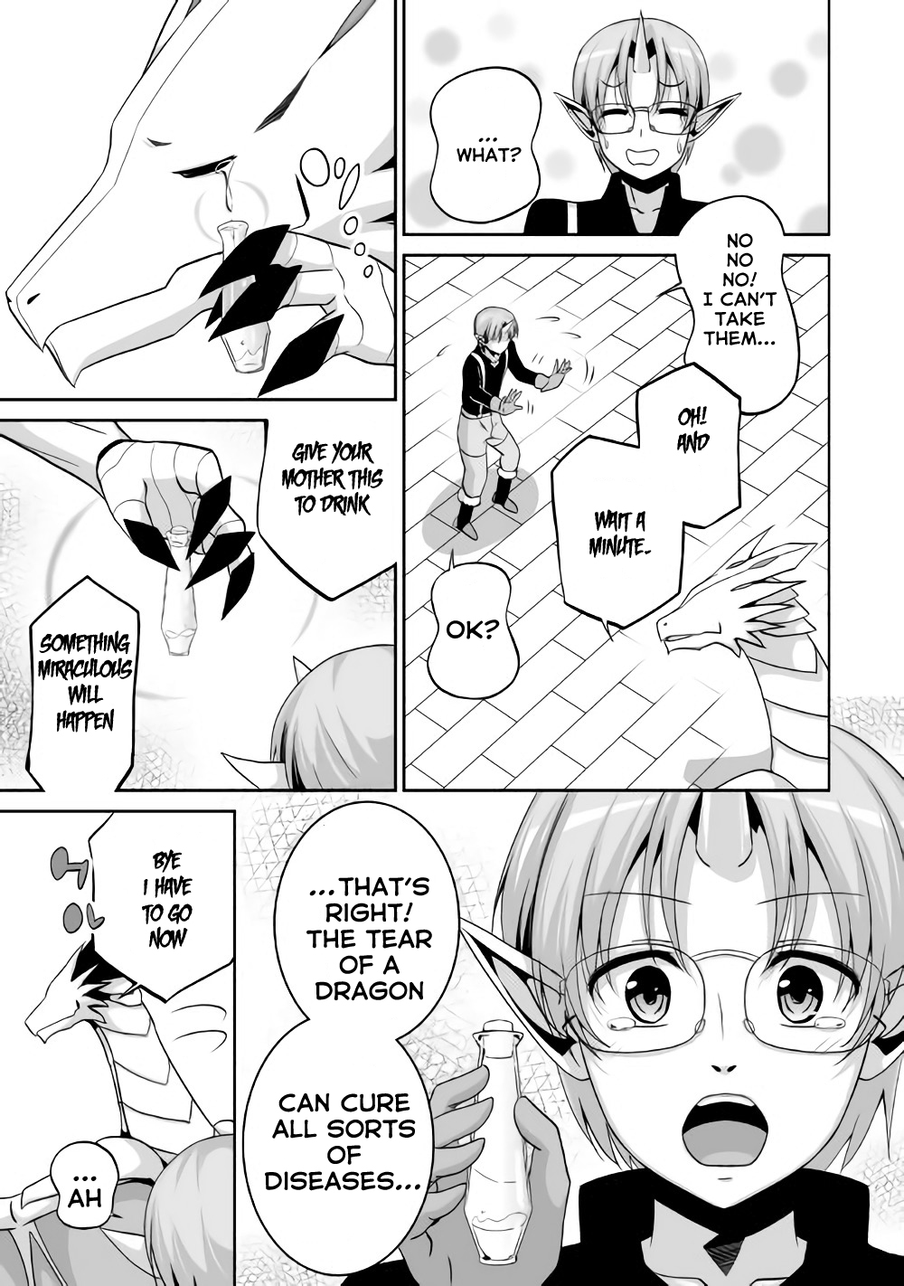 The Reincarnated Evil Dragon Maou vs Dragon 第18页