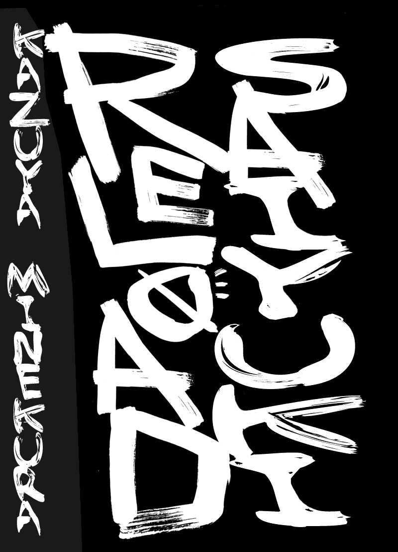 Saiyuki RELOAD 第4页