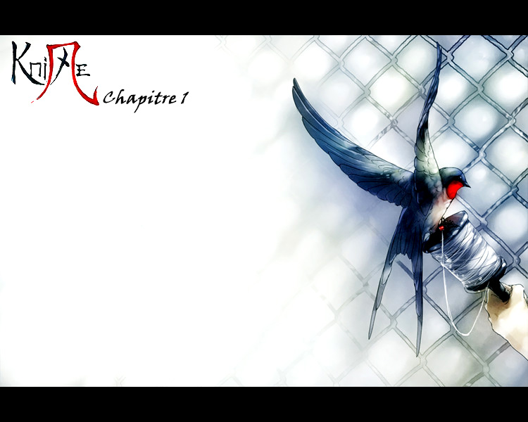 Knite 第1页