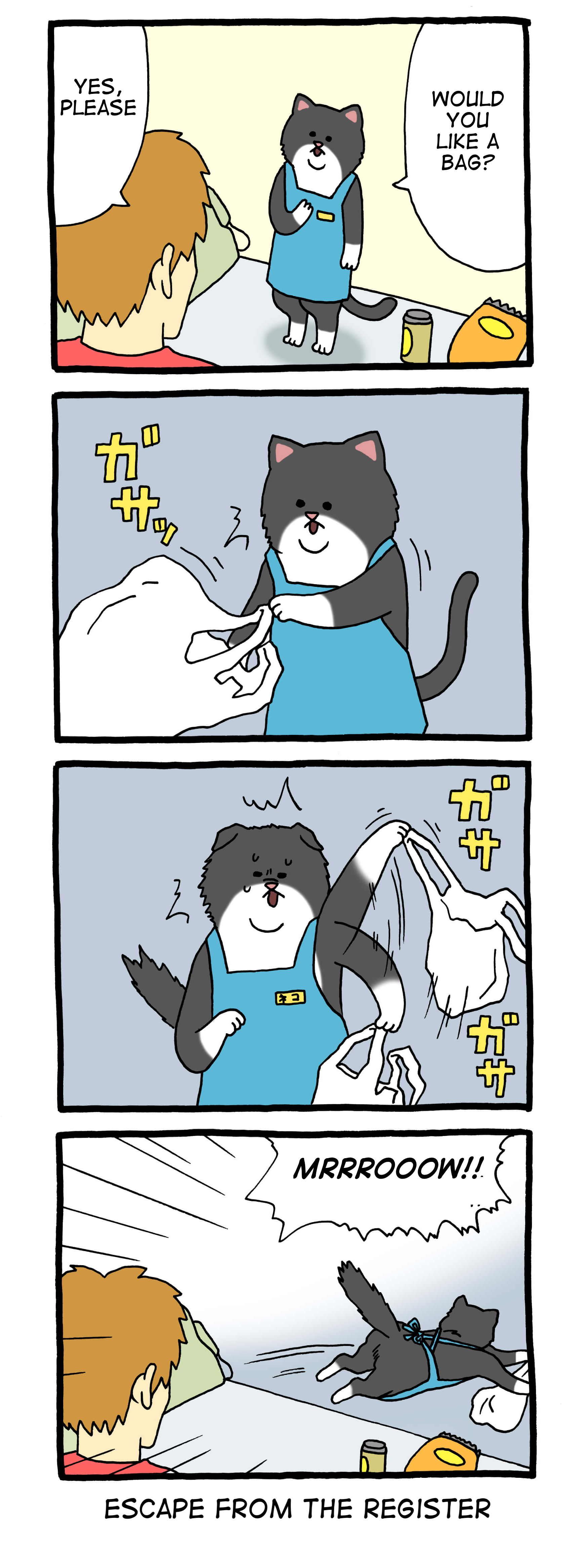 Register Cat 第5页