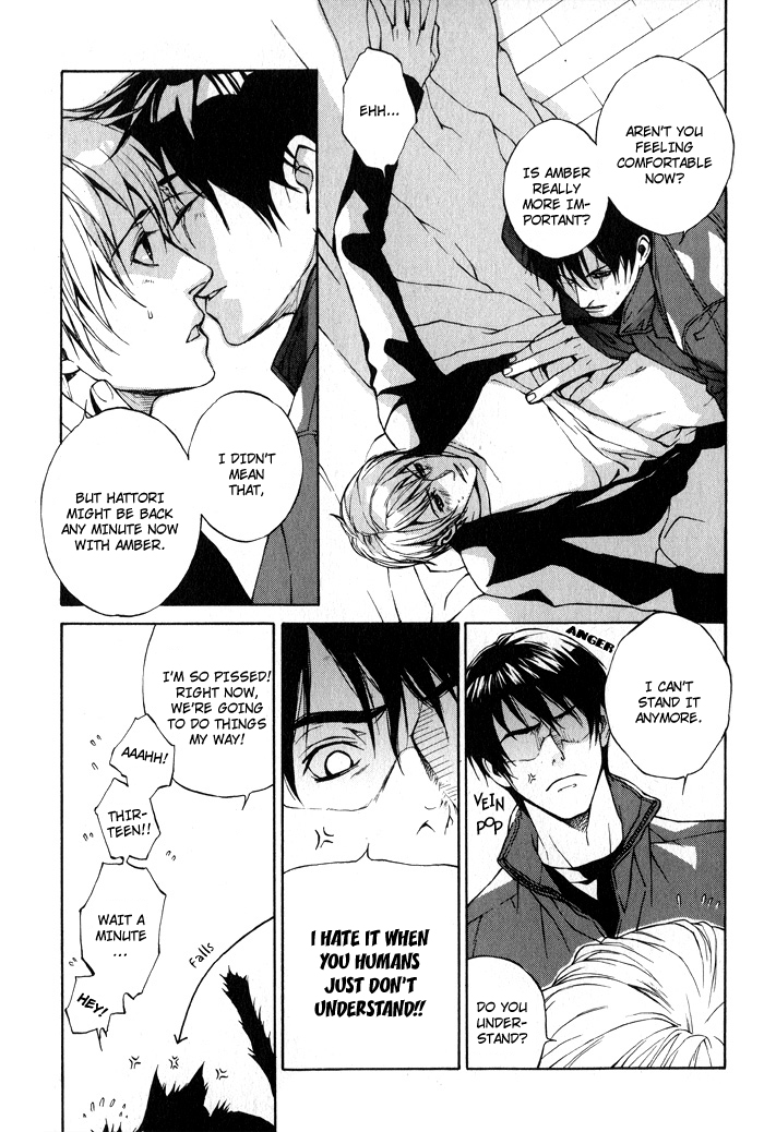 Suzu no Ne ga Kikoeru Amber's Diary 第19页