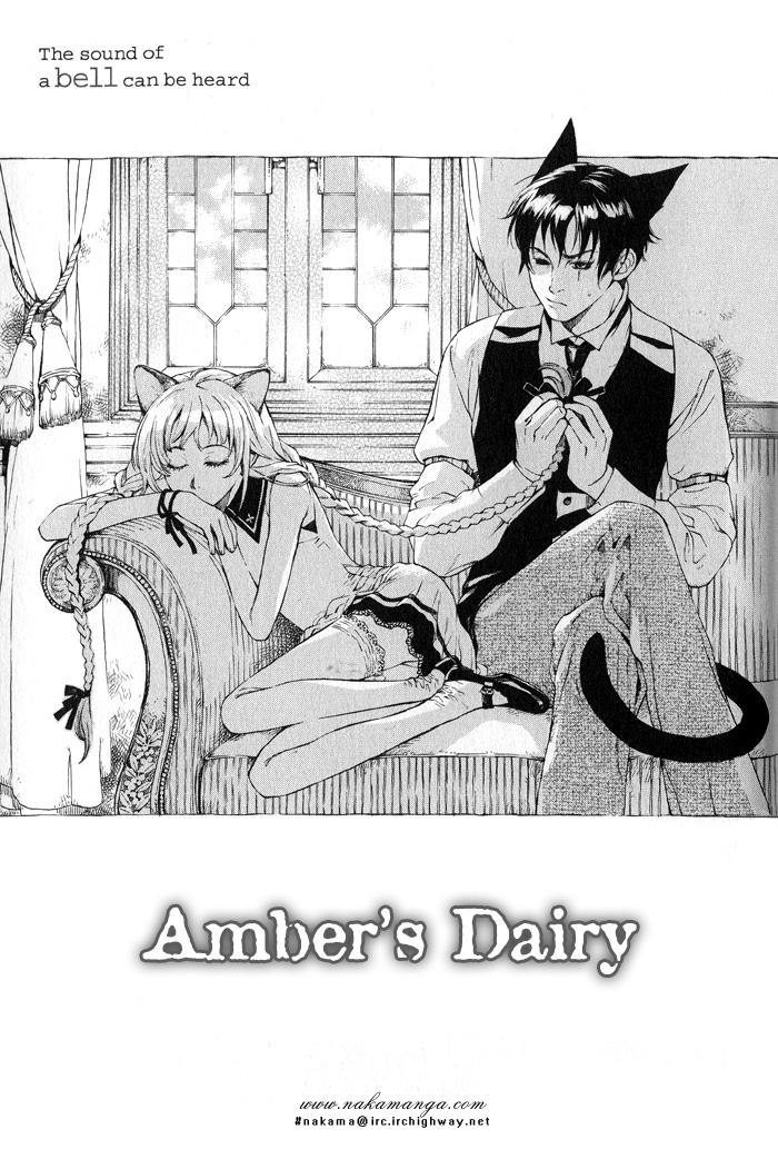 Suzu no Ne ga Kikoeru Amber's Diary 第9页