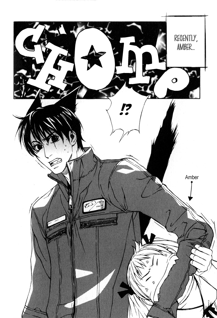 Suzu no Ne ga Kikoeru Amber's Diary 第10页